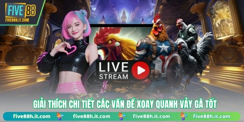 Giải thích chi tiết các vấn đề xoay quanh vảy gà tốt